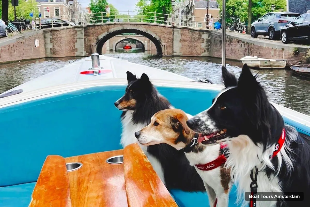 Boat Tours Amsterdam – Private Canal Tour through Smaller Canals (photo 3)