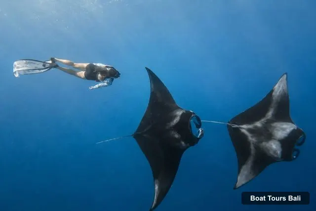 Bali Boat Cruises – Bali/Nusa Penida: Manta Point Snorkeling & West Coast Tour