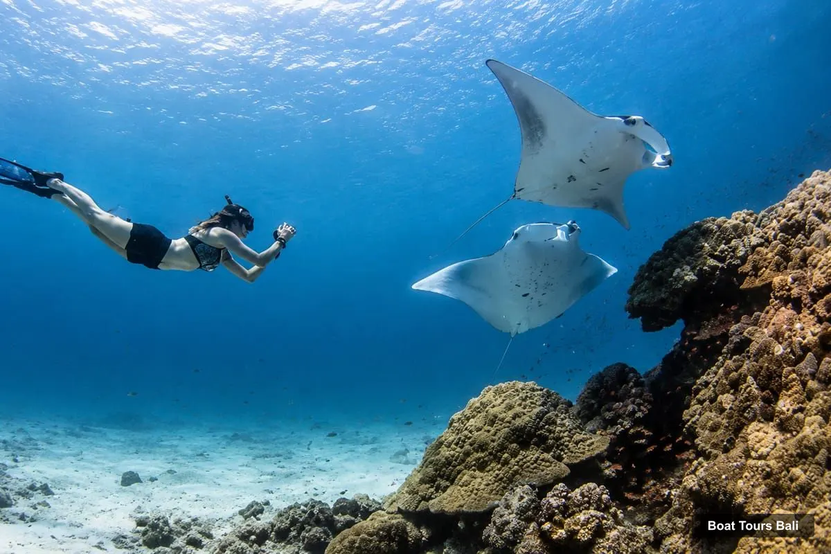 Bali Boat Cruises – Bali/Nusa Penida: Manta Point Snorkeling & West Coast Tour (photo 2)