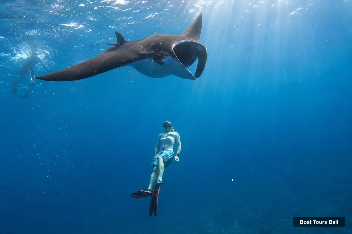 Bali Boat Cruises – Bali/Nusa Penida: Manta Point Snorkeling & West Coast Tour (photo 3)