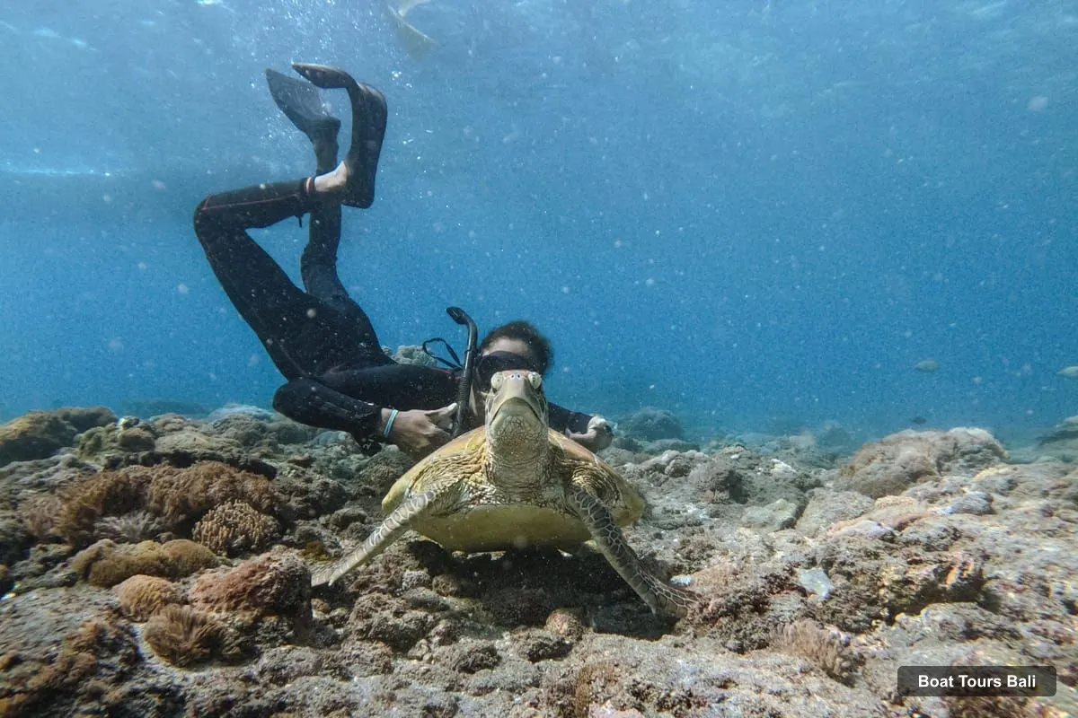 Bali Boat Cruises – Bali/Nusa Penida: Manta Point Snorkeling & West Coast Tour (photo 4)