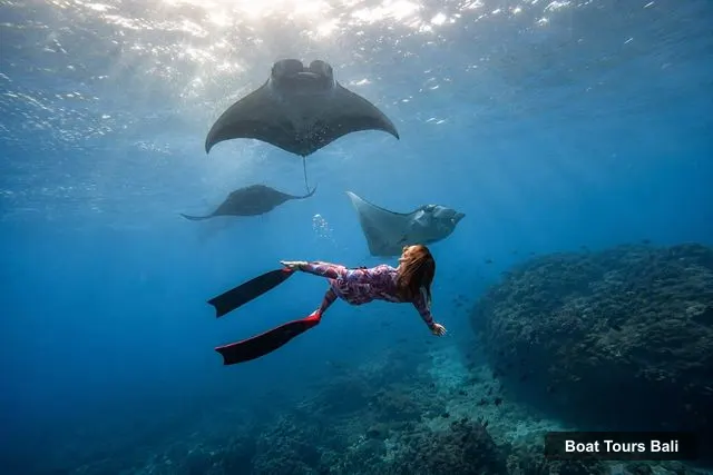 Bali Boat Trips – From Bali 3-Spot Nusa Penida Snorkeling w/ GoPro & West Tour