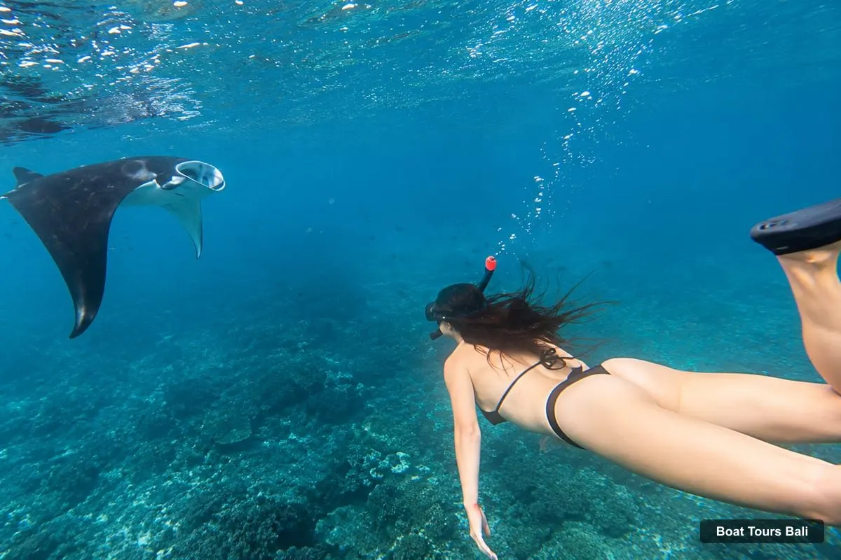 Bali Boat Trips – From Bali 3-Spot Nusa Penida Snorkeling w/ GoPro & West Tour (photo 2)