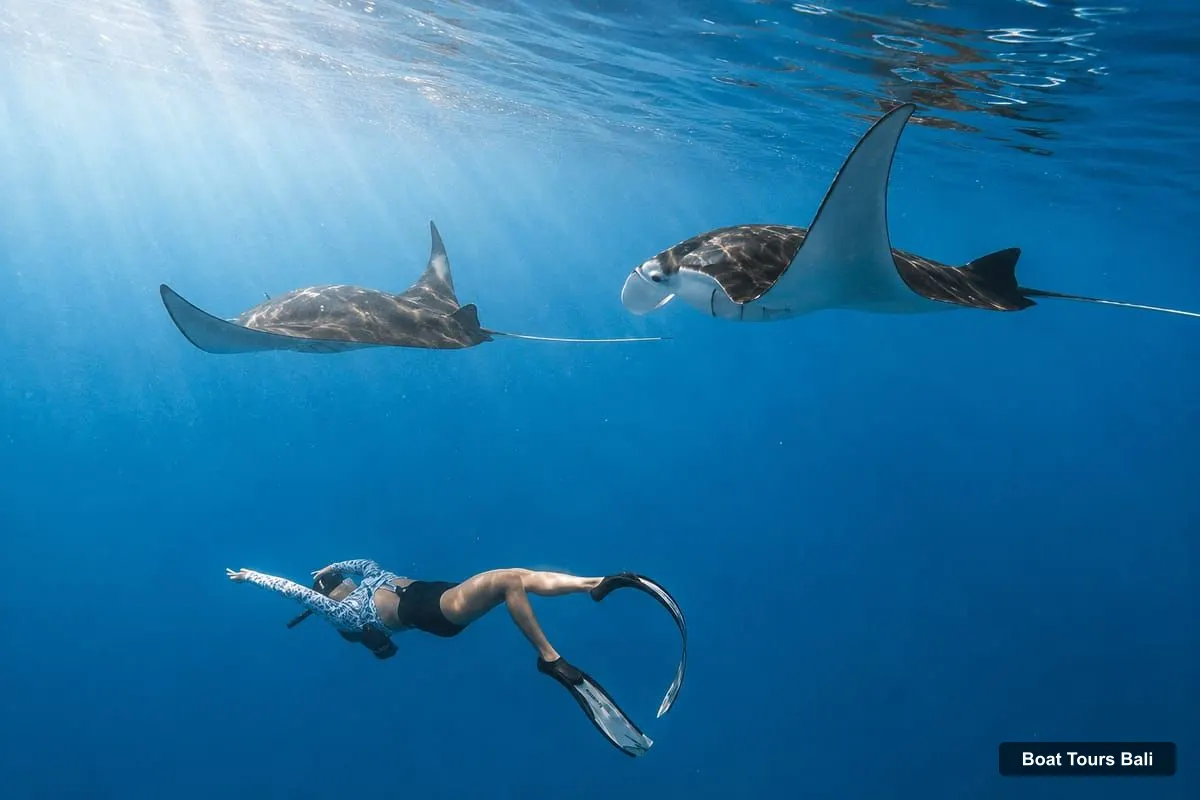 Bali Boat Trips – From Bali 3-Spot Nusa Penida Snorkeling w/ GoPro & West Tour (photo 3)