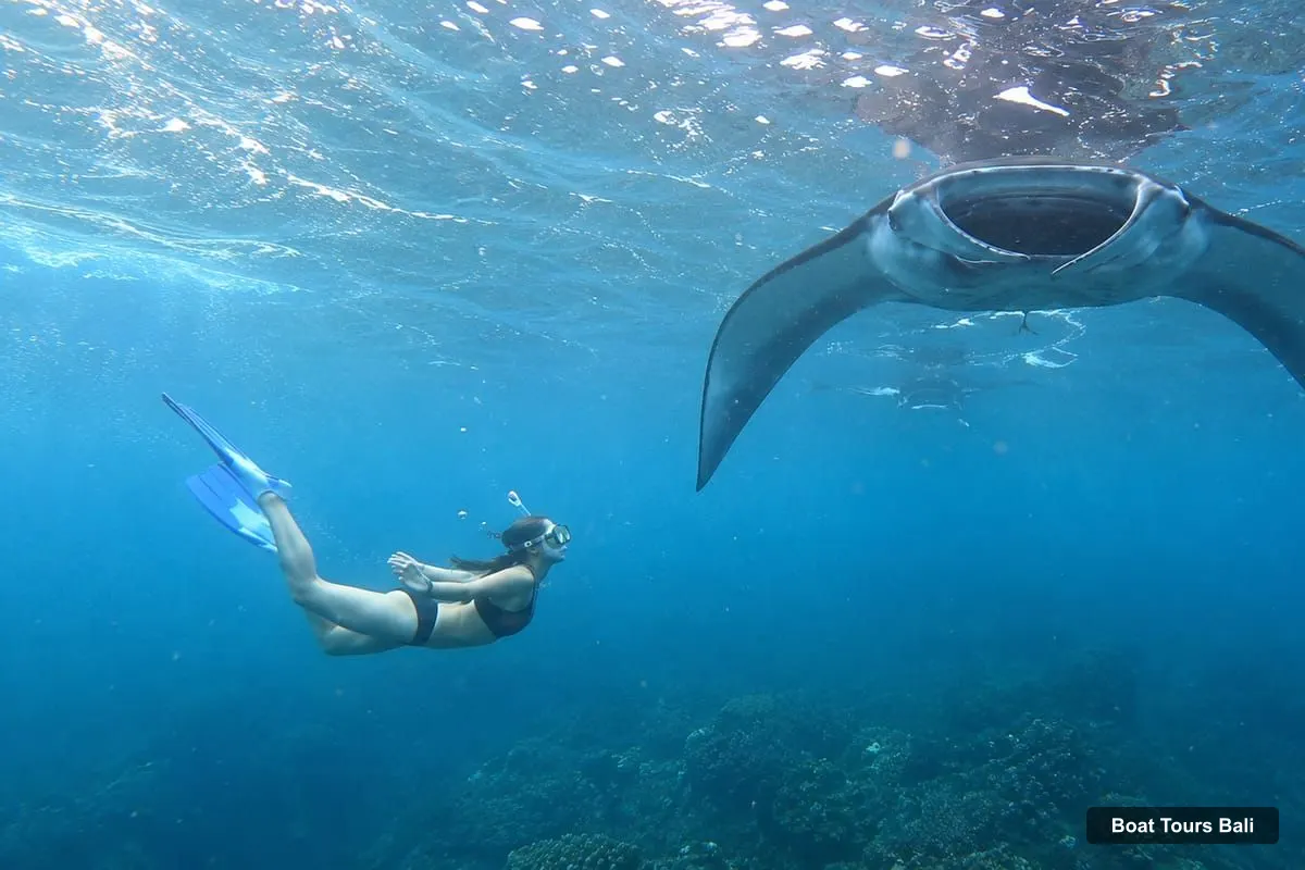 Bali Boat Trips – From Bali 3-Spot Nusa Penida Snorkeling w/ GoPro & West Tour (photo 4)