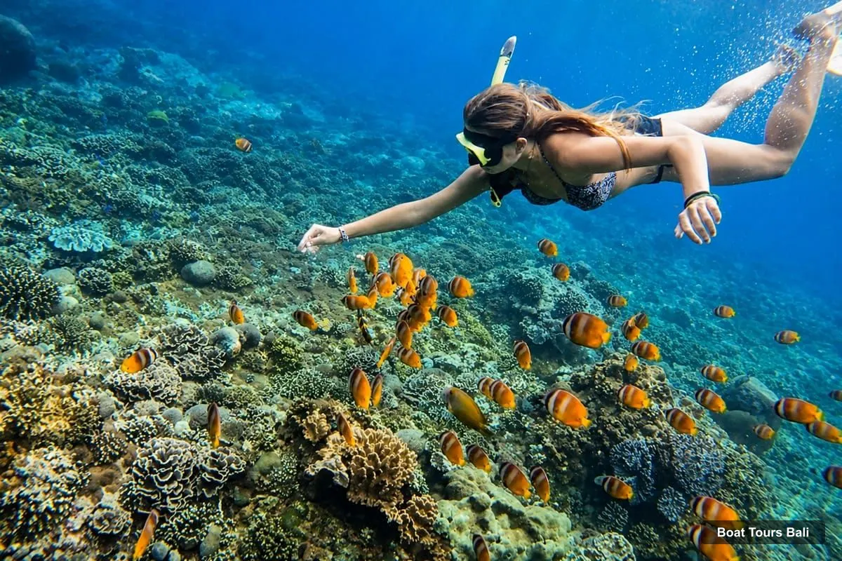 Boat Tours Bali – Lovina Bali: Sunset Boat Cruise & Coral Reef Snorkeling (photo 4)