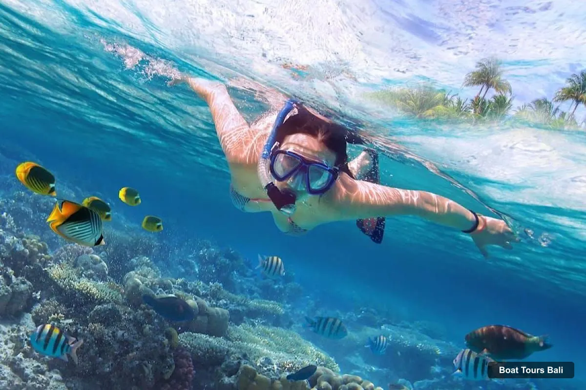 Boat Tours Bali – Lovina Bali: Sunset Boat Cruise & Coral Reef Snorkeling (photo 5)