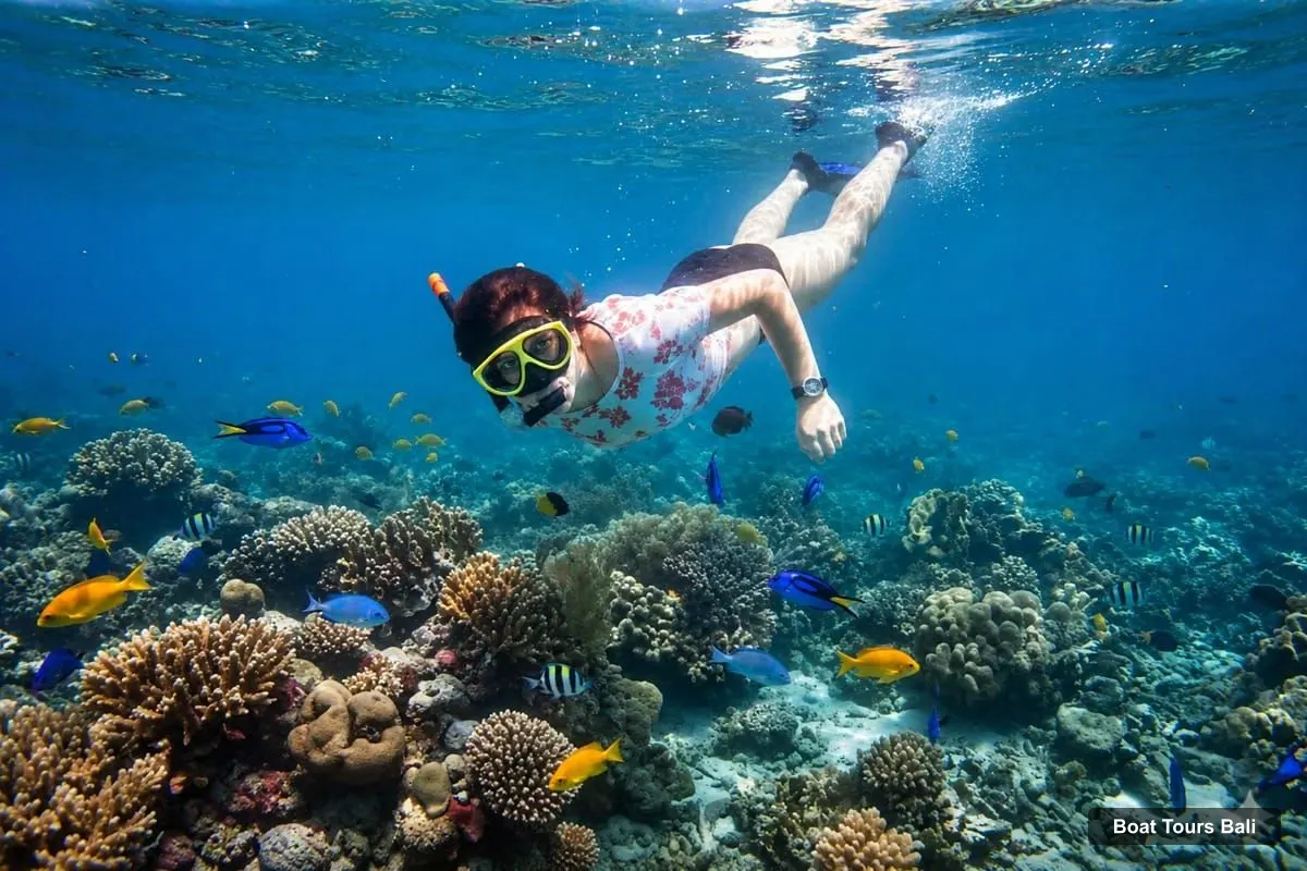 Boat Tours Bali – Lovina Bali: Sunset Boat Cruise & Coral Reef Snorkeling