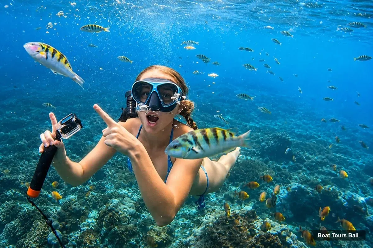 Boat Tours Bali – Lovina/Bali: Sunrise Dolphin Watching, Swimming & Snorkeling (photo 4)
