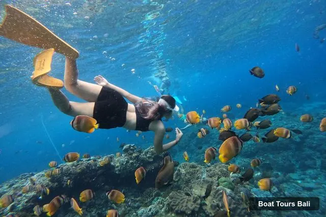 Boat Tours in Bali – 3-Spot Snorkeling Tour to Lembongan and Penida