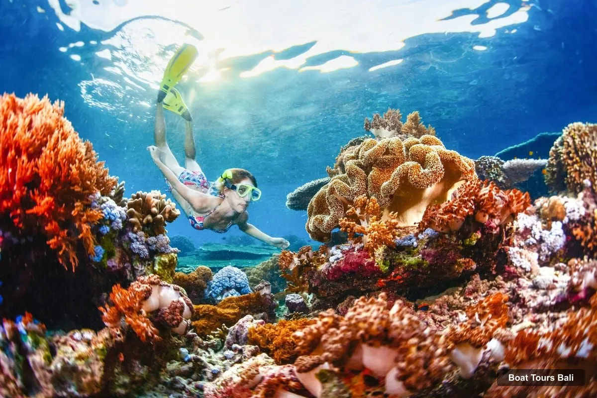 Boat Tours in Bali – 3-Spot Snorkeling Tour to Lembongan and Penida (photo 2)