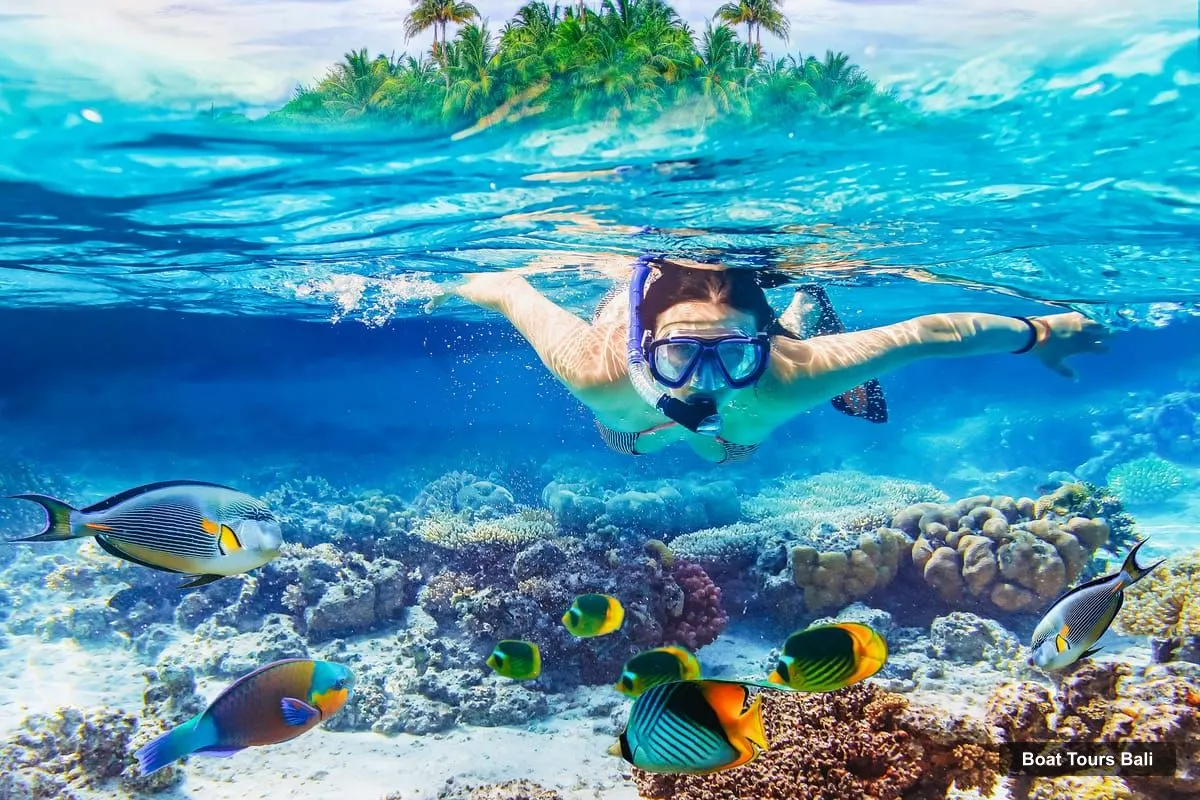 Boat Tours in Bali – 3-Spot Snorkeling Tour to Lembongan and Penida (photo 4)