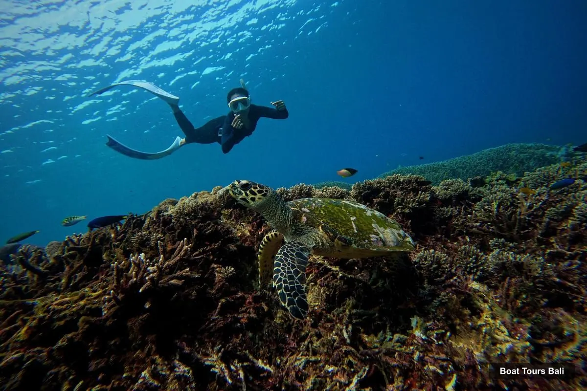 Boat Tours in Bali – 3-Spot Snorkeling Tour to Lembongan and Penida (photo 5)