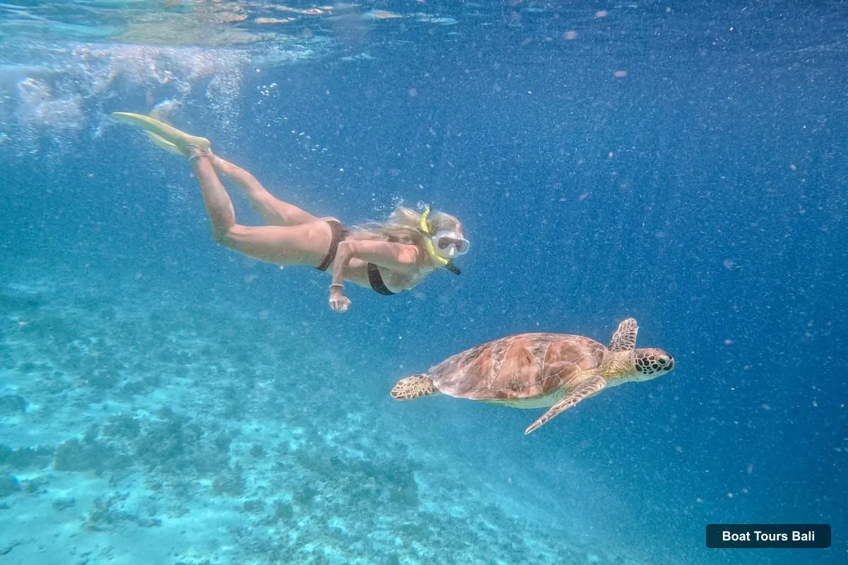 Boat Tours in Bali – Private Yacht Nusa Penida Manta Snorkeling & Land Tour (photo 3)