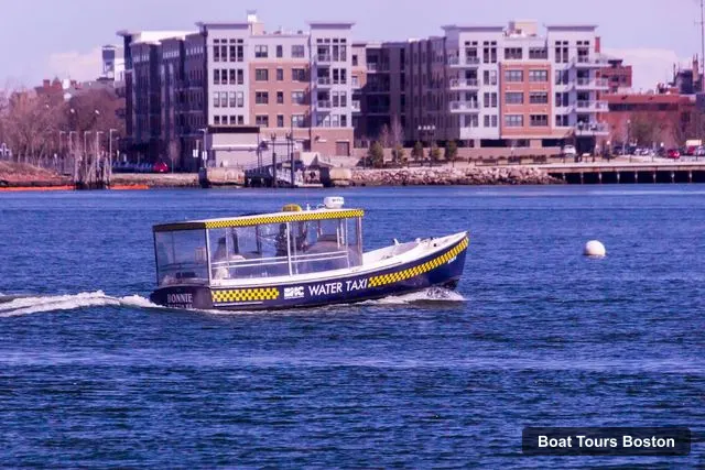 New England Aquarium, Boston – Boston Boat Trips
