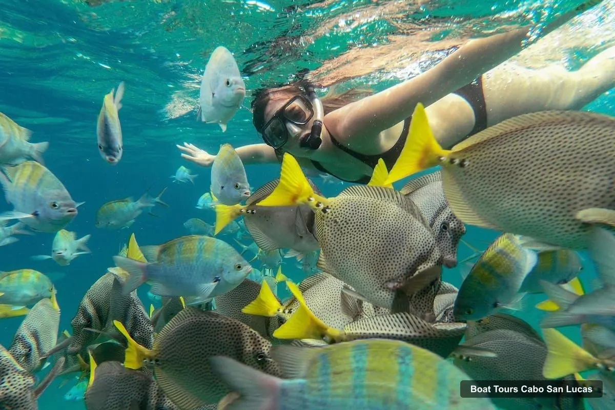 Boat Tours Cabo San Lucas – Los Cabos Arch & Lover’s Beach Tour + Snorkeling Tour (photo 5)