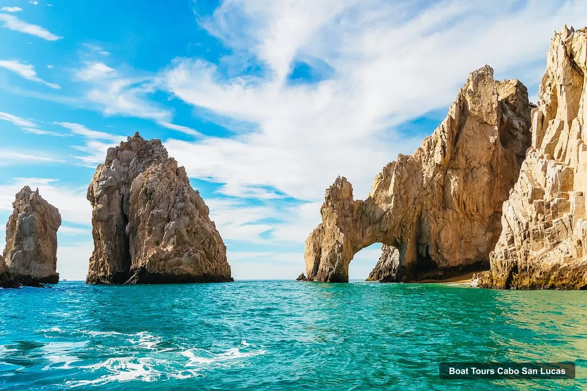 Boat Tours Cabo San Lucas – Whale Watching Catamaran Experience (photo 5)