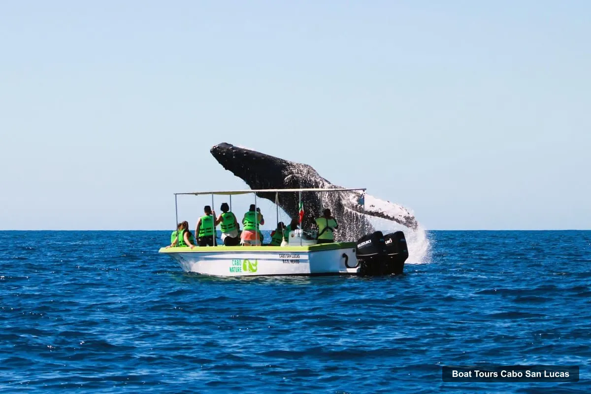 Boat Tours in Cabo San Lucas – Cabo: Whale-Whatching Boat Trip w/ All-Women Crew and Photos (photo 2)