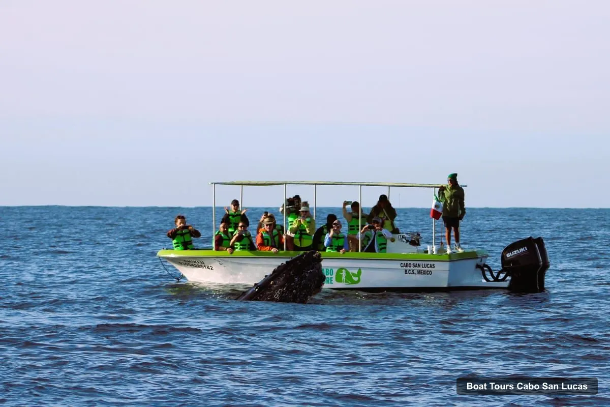 Boat Tours in Cabo San Lucas – Cabo: Whale-Whatching Boat Trip w/ All-Women Crew and Photos (photo 4)