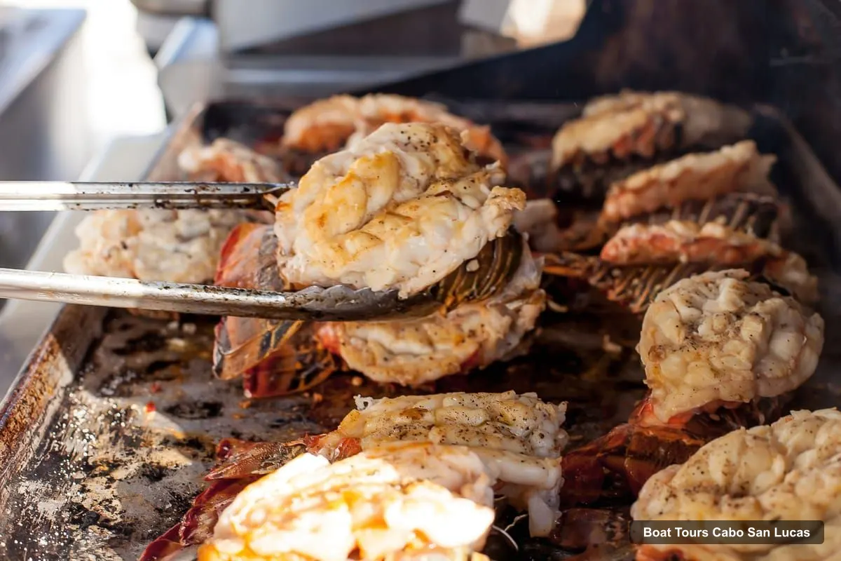 Cabo San Lucas Boat Trips – Sunset Dinner Cruise (photo 2)