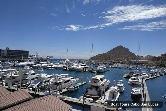 La Terminal de Cabo, Cabo San Lucas – Boat Tours in Cabo San Lucas
