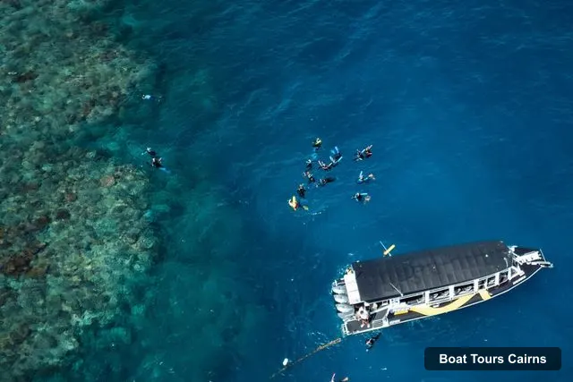 Boat Tours Cairns – Great Barrier Reef Half-Day Snorkelling Tour