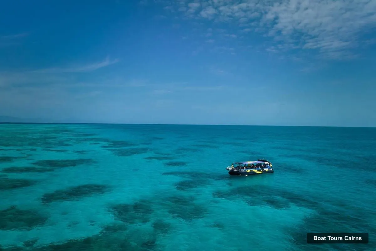 Boat Tours Cairns – Great Barrier Reef Half-Day Snorkelling Tour (photo 4)