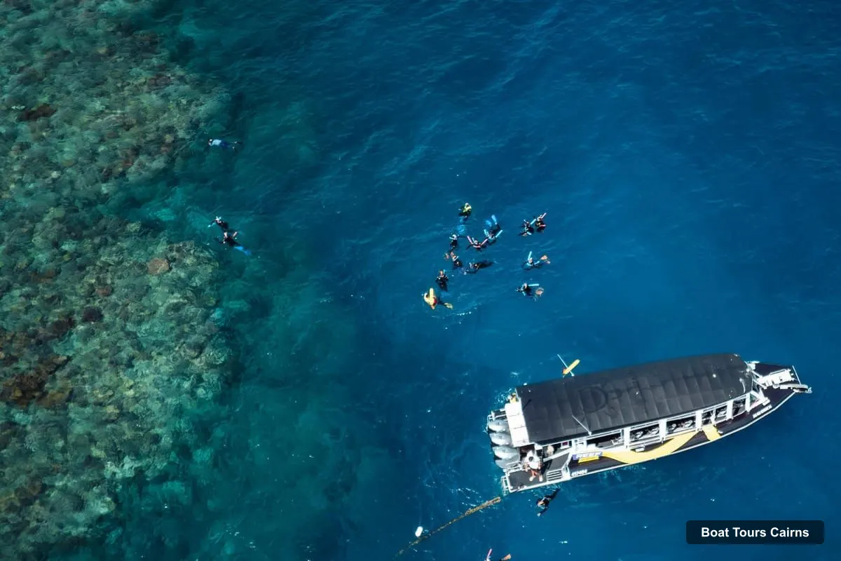 Boat Tours Cairns – Great Barrier Reef Half-Day Snorkelling Tour