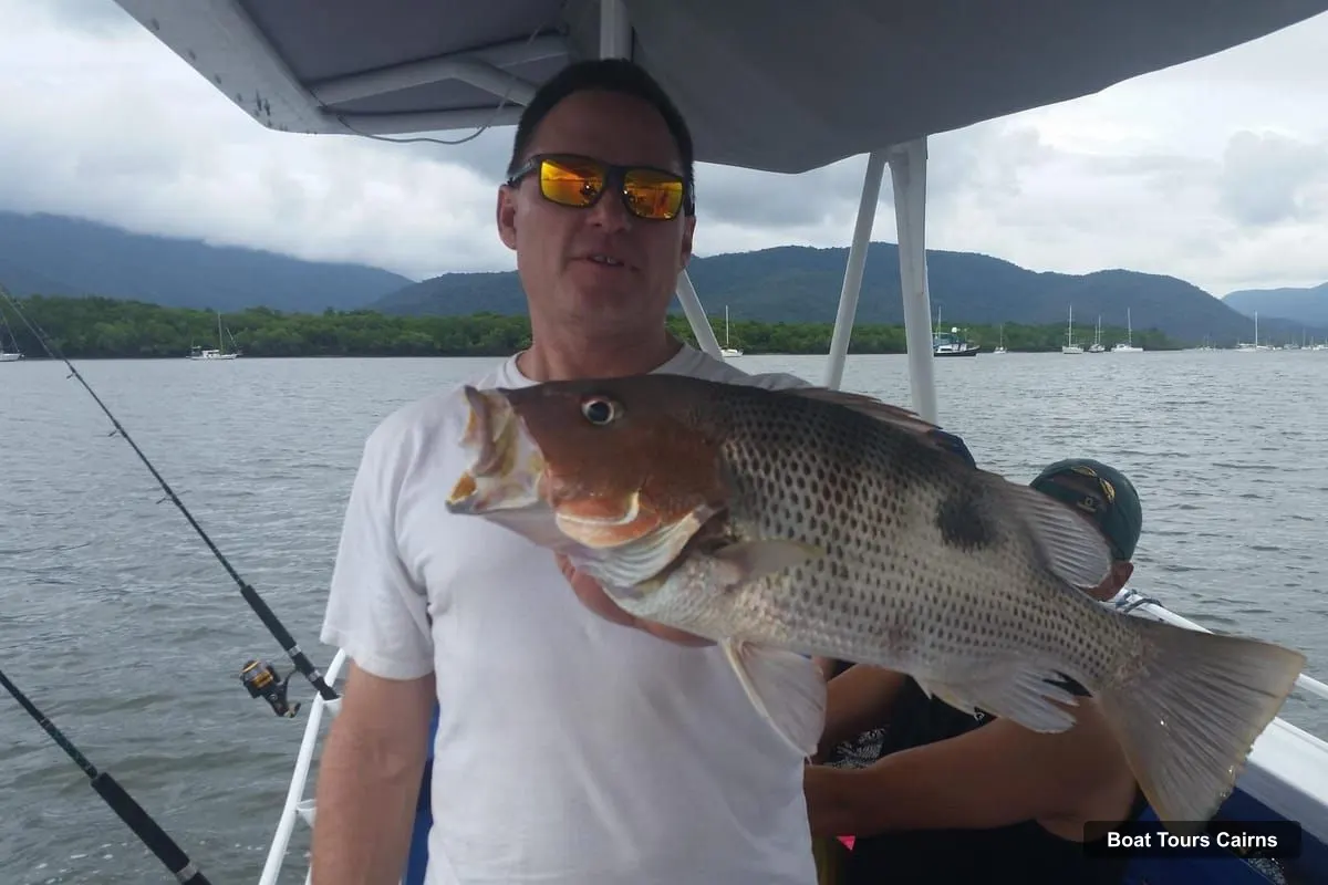 Cairns Boat Cruises – Morning Estuary Fishing Charter on Trinity Inlet (photo 2)