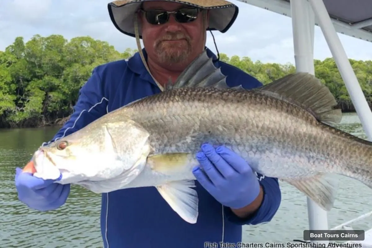Cairns Boat Cruises – Morning Estuary Fishing Charter on Trinity Inlet