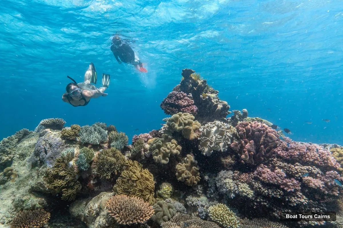 Cairns Boat Cruises – Premium Snorkelling and Diving Reef Day Trip (photo 3)