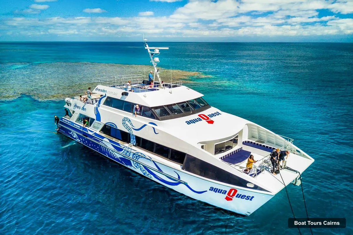 Cairns Boat Cruises – Premium Snorkelling and Diving Reef Day Trip (photo 4)