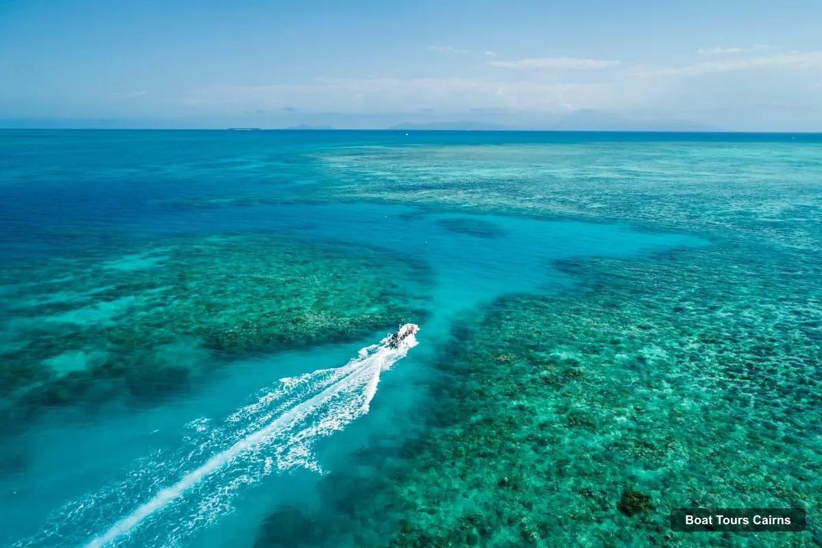 Cairns Boat Trips – Outer and Coral Cay Snorkel and Dive Cruise (photo 4)