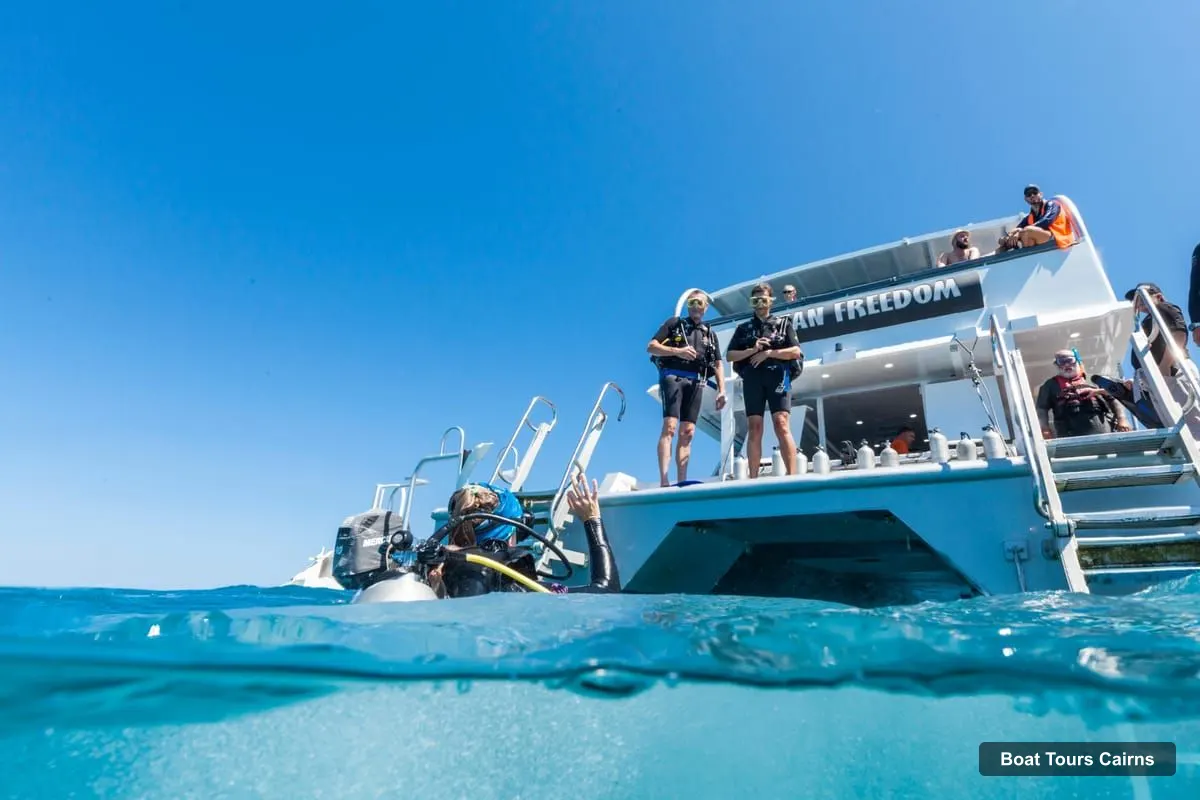 Cairns Boat Trips – Outer and Coral Cay Snorkel and Dive Cruise (photo 5)