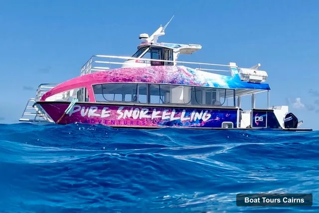 Pure Snorkelling – Pure Snorkelling, Cairns – Boat Tours Cairns