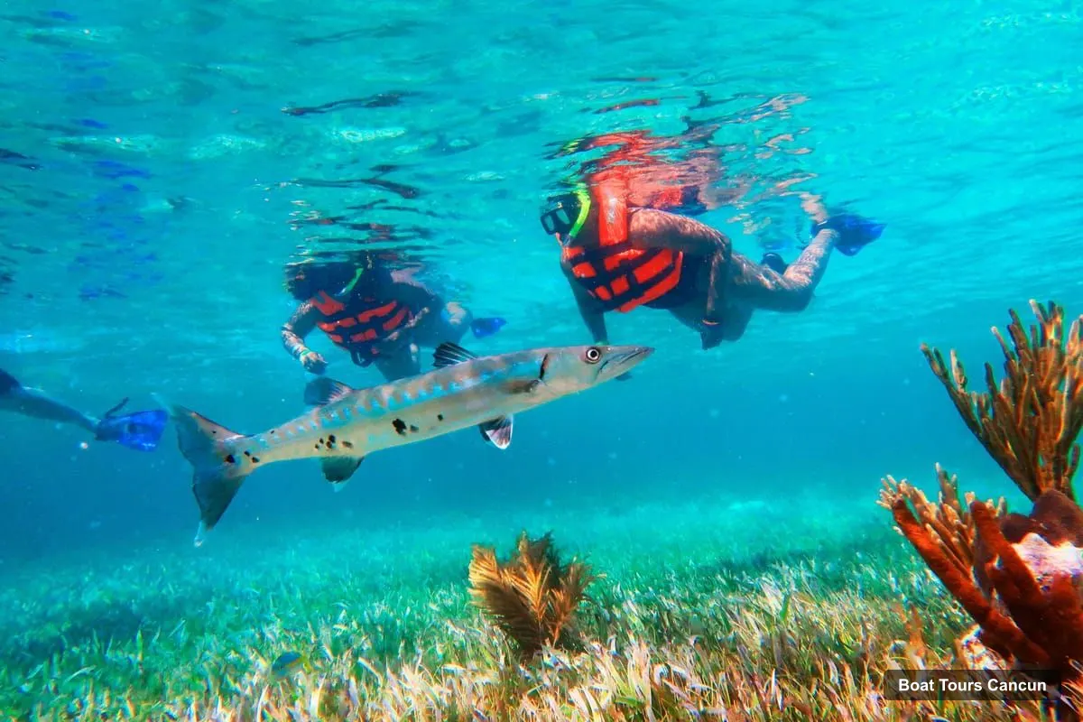 Cancun Boat Cruises – Snorkel, Town Walk, Tequila & Beach Lunch (photo 3)