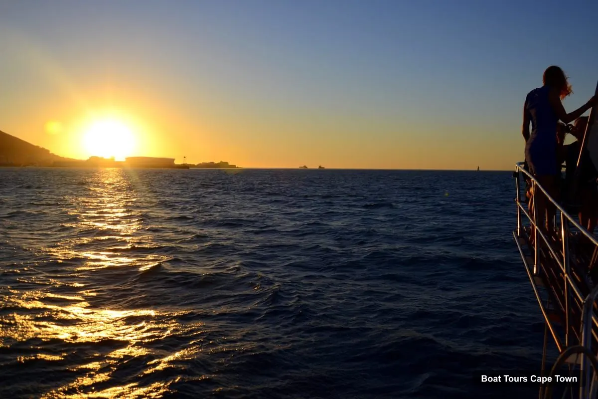 Boat Tours Cape Town – Sunset Sparkling Wine Cruise (photo 5)