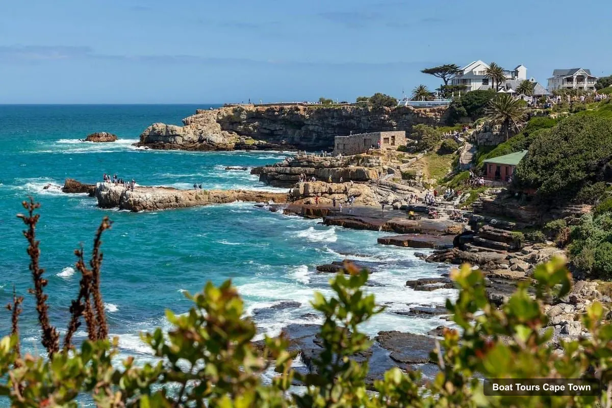Cape Town Boat Cruises – Full-Day Hermanus Whale Watching Tour (photo 3)