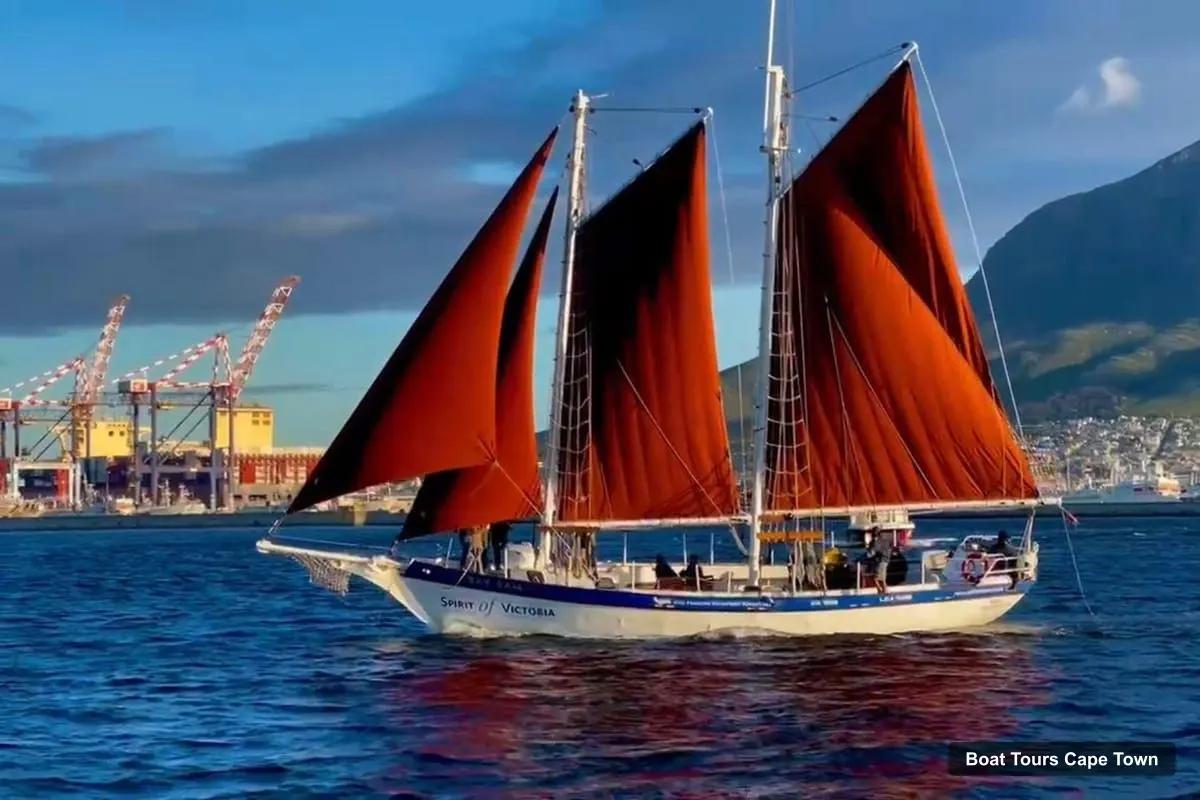 Cape Town Boat Trips – Sunset Cruise from V&A Waterfront with Bubbly (photo 2)