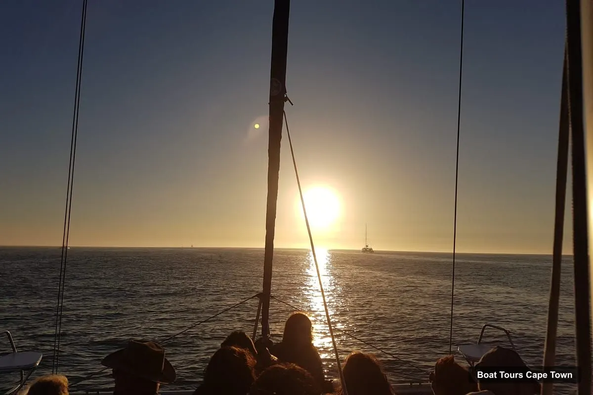Cape Town Boat Trips – Sunset Cruise from V&A Waterfront with Bubbly (photo 5)