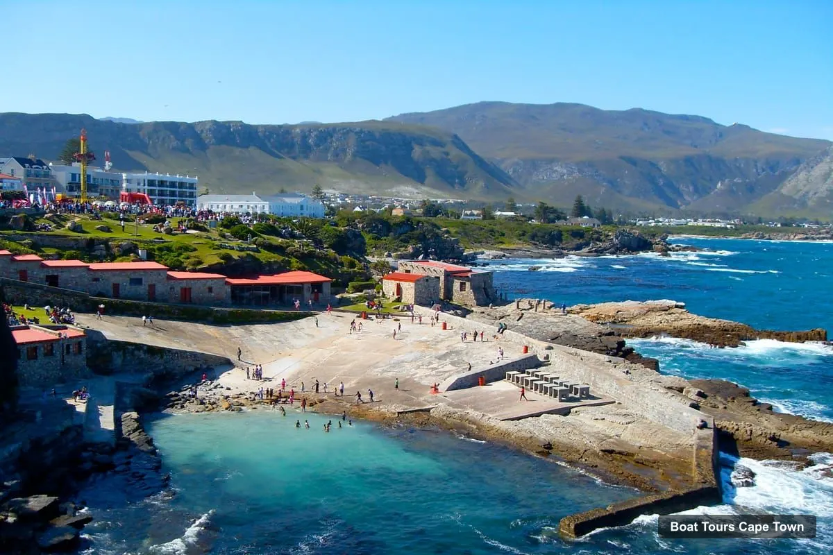 Cape Town Boat Trips – Whale Watching Tour in Hermanus and Gansbaai (photo 2)