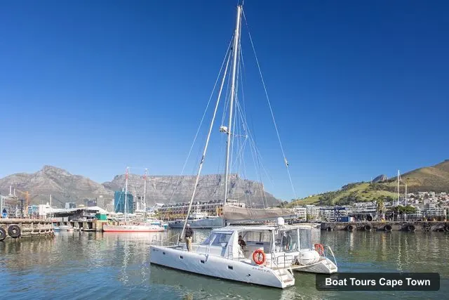 Cape Town Cruises – Cape Town Cruises, Cape Town – Boat Tours Cape Town