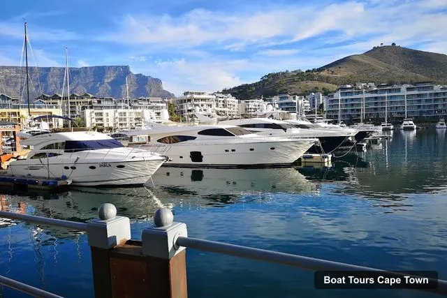 City Sightseeing Cape Town | Official Hop-On Hop-Off Tour – City Sightseeing Cape Town | Official Hop-On Hop-Off Tour, Cape Town – Cape Town Boat Trips