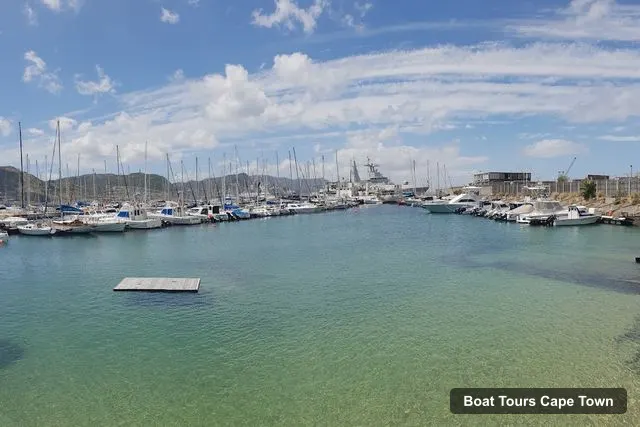 False Bay Yacht Club, Cape Town – Cape Town Boat Cruises