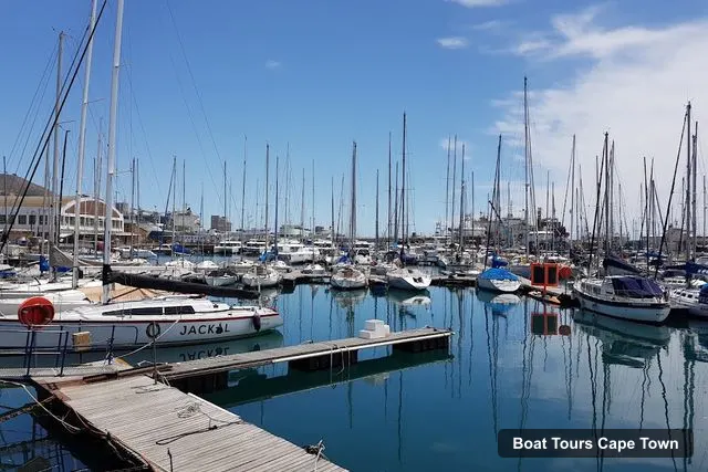 Royal Cape Yacht Club, Cape Town – Cape Town Harbor Cruise