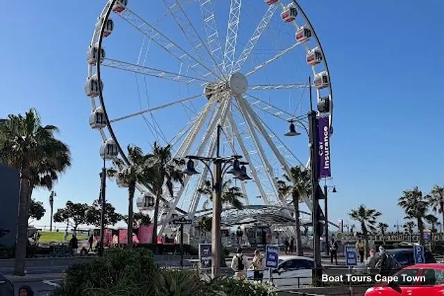 The Cape Wheel, Cape Town – Cape Town Boat Trips