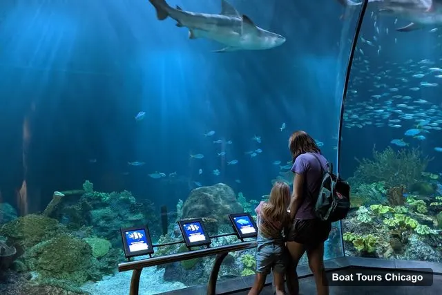 Shedd Aquarium, Chicago – Boat Tours in Chicago