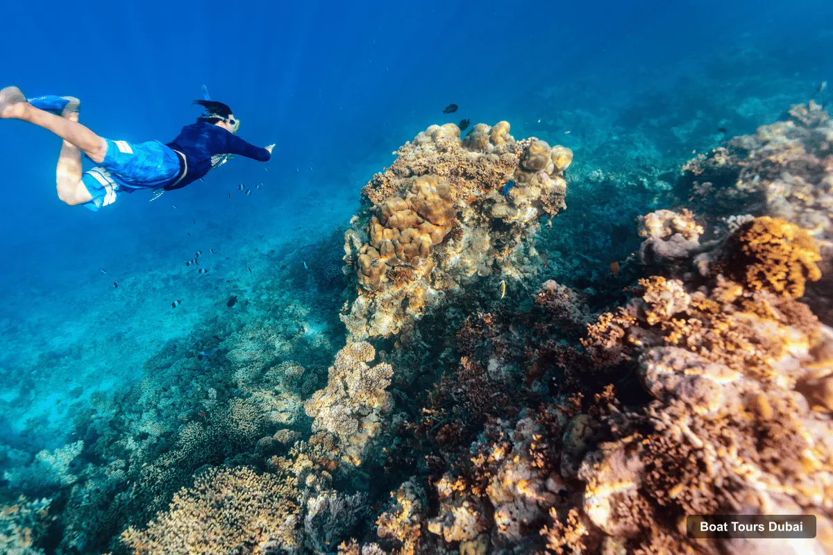 Boat Tours Dubai – Snorkeling Trip to Dibba Al-Fujairah