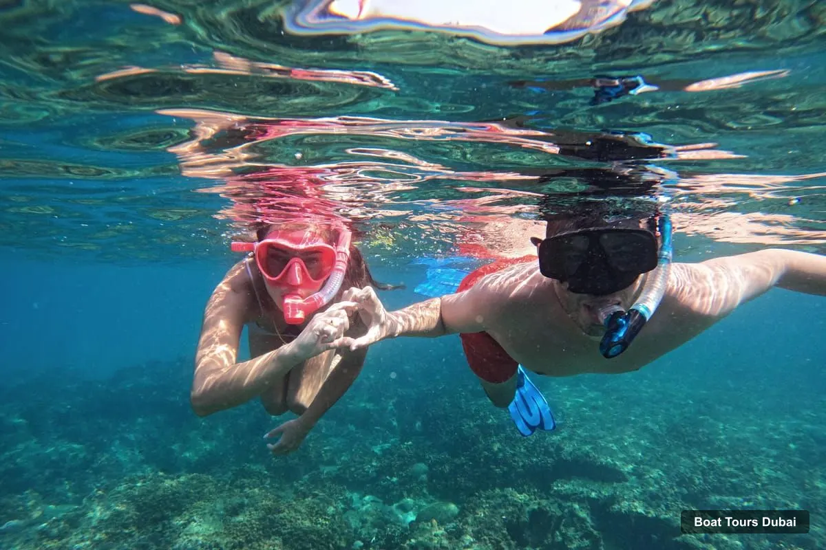 Boat Tours in Dubai – Fujairah Snorkeling with Turtles and Transfer (photo 4)