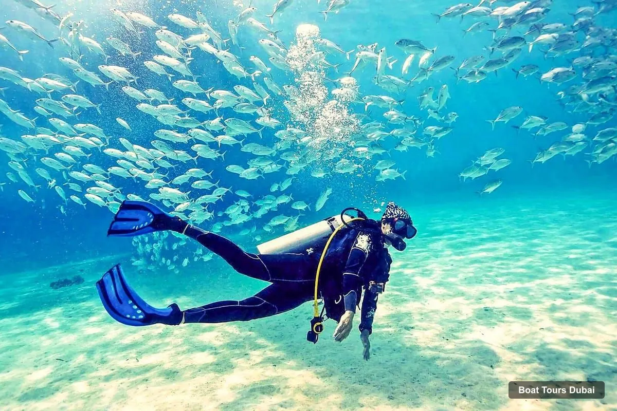 Dubai Boat Trips – Fujairah Half-Day Scuba Dive and Snorkeling (photo 2)